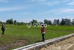 Lahan Kosong Disewakan di Tabanan, Tabanan, Luas 100m2 Lahan Kosong Disewakan di Tabanan, Tabanan, Luas 100m2