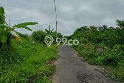 Tanah Kavling untuk Dijual di Gianyar Gianyar 500m2 Tanah Kavling untuk Dijual di Gianyar Gianyar 500m2