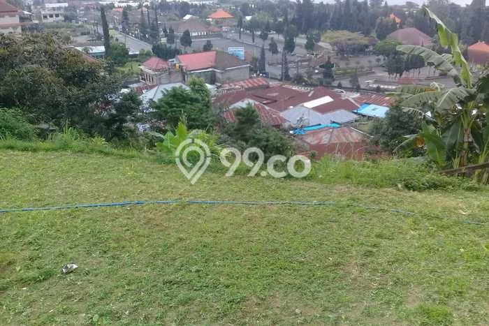 Tanah Dijual Area Strategis di Bedugul Tabanan 830m2 Tanah Dijual Area Strategis di Bedugul Tabanan 830m2