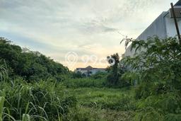 Tanah Disewa di Sunset Road Strategis dan Memiliki Luas 2600m2 Tanah Disewa di Sunset Road Strategis dan Memiliki Luas 2600m2