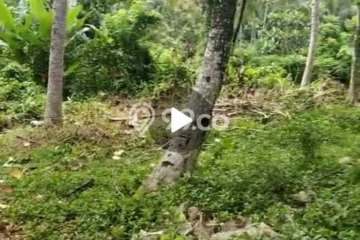 Lahan Kosong Disewakan di Tabanan, Tabanan, Luas 1705m2 Lahan Kosong Disewakan di Tabanan, Tabanan, Luas 1705m2