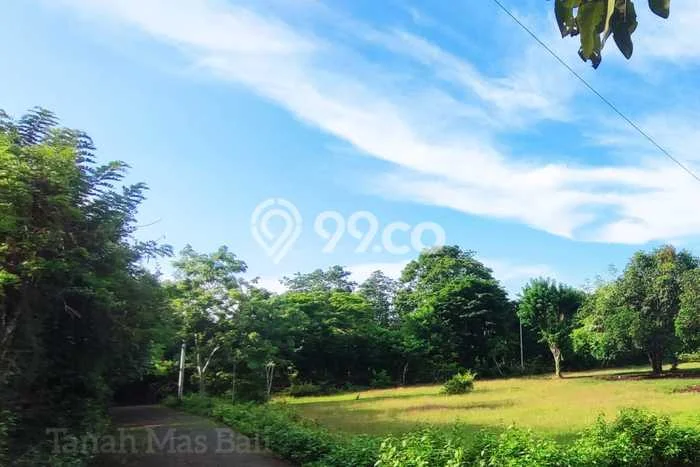Tanah Disewa di Jimbaran Strategis dan Memiliki Luas 10000m2 Tanah Disewa di Jimbaran Strategis dan Memiliki Luas 10000m2