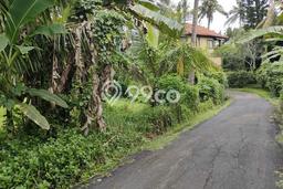 Tanah Strategis Disewakan di Tabanan Tabanan Seluas 960m2 Tanah Strategis Disewakan di Tabanan Tabanan Seluas 960m2