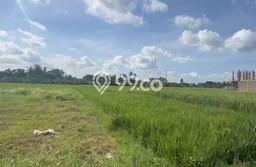 Tanah Dijual di Tabanan Seluas 2600m2 Strategis Tanah Dijual di Tabanan Seluas 2600m2 Strategis
