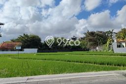 Tanah Kavling Disewakan di Canggu dengan Luas 2375m2 Tanah Kavling Disewakan di Canggu dengan Luas 2375m2