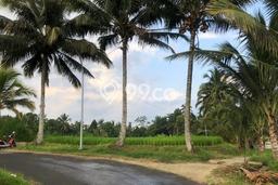 Lahan Investasi Lokasi Carangsari Badung SHM Lahan Investasi Lokasi Carangsari Badung SHM