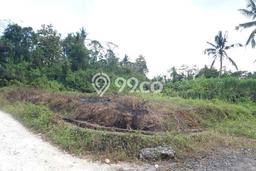 Lahan untuk Dijual Lokasi Kerambitan, Tabanan Luas 200m2 SHM Lahan untuk Dijual Lokasi Kerambitan, Tabanan Luas 200m2 SHM