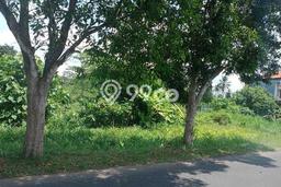 Kavling Tanah di Karangasem Dijual Luas 995m2 Legalitas SHM Kavling Tanah di Karangasem Dijual Luas 995m2 Legalitas SHM