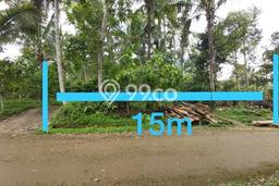 Jarang Ada! Tanah di Penebel Punya Luas 12000m2 SHM Jarang Ada! Tanah di Penebel Punya Luas 12000m2 SHM
