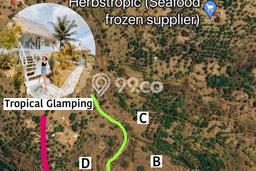Tanah Dijual di Klungkung Seluas 26300m2 Strategis Tanah Dijual di Klungkung Seluas 26300m2 Strategis