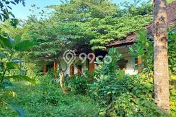 Disewakan Tanah di Kuta Luas 3700m2 SHM Disewakan Tanah di Kuta Luas 3700m2 SHM
