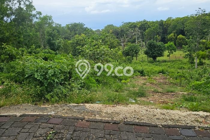 Untuk Disewa Tanah di Pecatu Badung Seluas 1000m2 Untuk Disewa Tanah di Pecatu Badung Seluas 1000m2