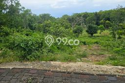 Untuk Disewa Tanah di Pecatu Badung Seluas 1000m2 Untuk Disewa Tanah di Pecatu Badung Seluas 1000m2