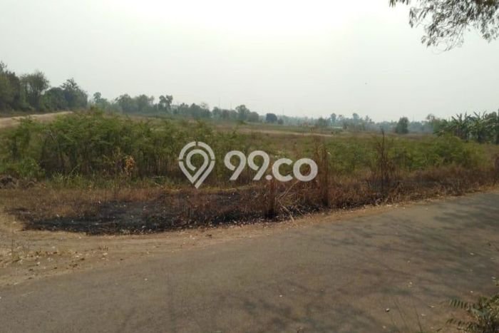 Tanah untuk Dijual Lokasi Ciruas, Serang Luas 100000m2 SHM Tanah untuk Dijual Lokasi Ciruas, Serang Luas 100000m2 SHM