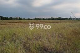 Lahan untuk Dijual di Ciruas Serang Luas 7254m2 Lahan untuk Dijual di Ciruas Serang Luas 7254m2