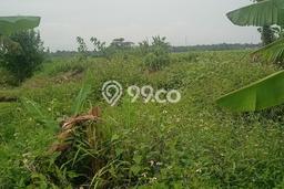 Lahan untuk Dijual Lokasi Cikande, Serang Luas 12000m2 SHM Lahan untuk Dijual Lokasi Cikande, Serang Luas 12000m2 SHM