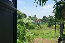 Lahan untuk Dijual Lokasi Cikeusal, Serang Luas 9013m2 SHM Lahan untuk Dijual Lokasi Cikeusal, Serang Luas 9013m2 SHM