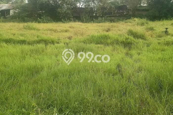 Kavling Tanah di Serang Dijual Luas 15371m2 Legalitas SHM Kavling Tanah di Serang Dijual Luas 15371m2 Legalitas SHM