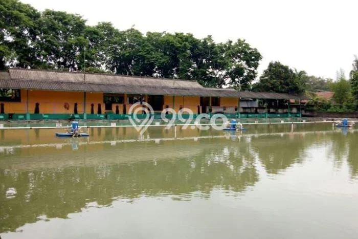 Tanah Kosong Dijual di Serang dengan Area 6495m2 Tanah Kosong Dijual di Serang dengan Area 6495m2