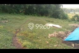 Kavling Tanah di Ngaliyan Dijual Luas 3781m2 Legalitas SHM Kavling Tanah di Ngaliyan Dijual Luas 3781m2 Legalitas SHM