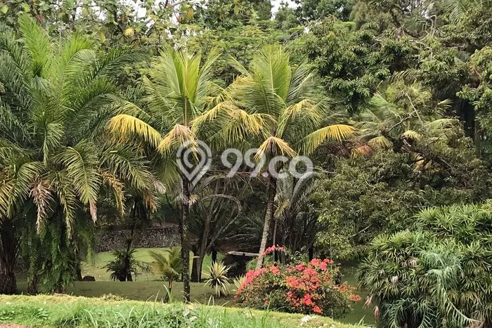 Tanah Kavling Dijual di Bogor dengan Spesifikasi 21427m2 Tanah Kavling Dijual di Bogor dengan Spesifikasi 21427m2