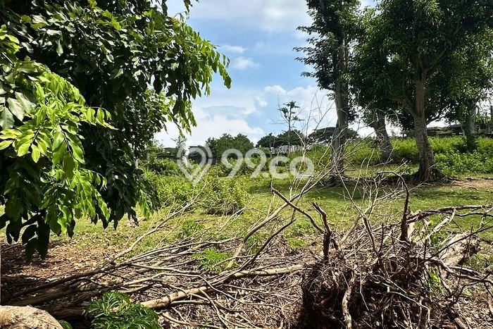 Tanah Disewa di uluwatu Strategis dan Memiliki Luas 1000m2 Tanah Disewa di uluwatu Strategis dan Memiliki Luas 1000m2