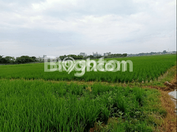 Tanah Komersial di Balaraja, Luas 11834m2m², Akses Mudah Tanah Komersial di Balaraja, Luas 11834m2m², Akses Mudah