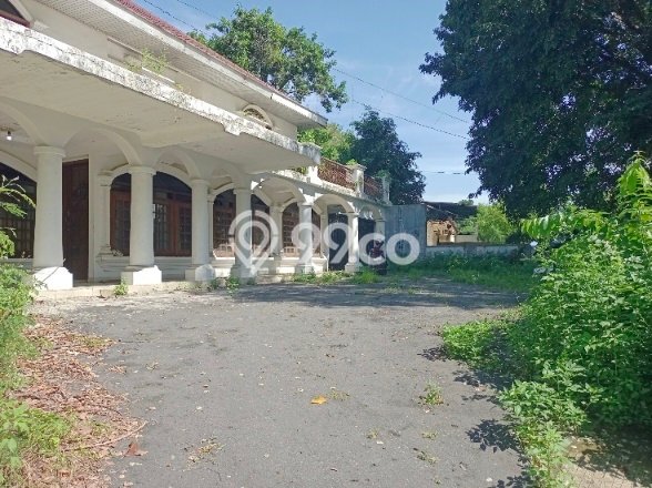 Rumah Kontrakan Semarang LT 977m2 LB 500m2 Area Siranda Rumah Kontrakan Semarang LT 977m2 LB 500m2 Area Siranda
