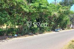 Tanah Kavling untuk Dijual di Makassar Makassar 7861m2 Tanah Kavling untuk Dijual di Makassar Makassar 7861m2