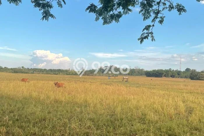 Lahan Strategis di Barru Dijual dengan Luas 22000m2 Lahan Strategis di Barru Dijual dengan Luas 22000m2