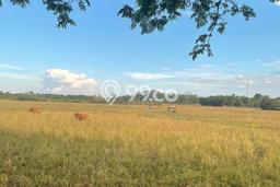 Lahan Strategis di Barru Dijual dengan Luas 22000m2 Lahan Strategis di Barru Dijual dengan Luas 22000m2