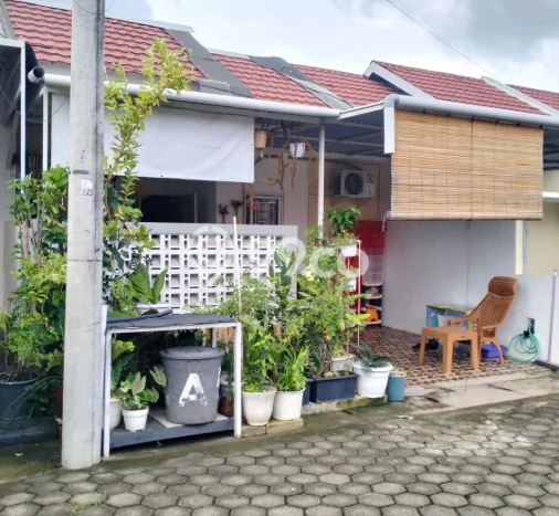 Jual Rumah Murah di Makassar Makassar Harga Rp 480 Juta LT 84m2 Jual Rumah Murah di Makassar Makassar Harga Rp 480 Juta LT 84m2