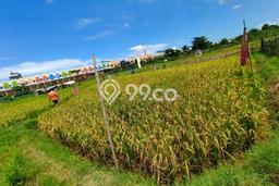 Tanah Kavling di Makassar Dijual dengan Luas 358m2 Tanah Kavling di Makassar Dijual dengan Luas 358m2