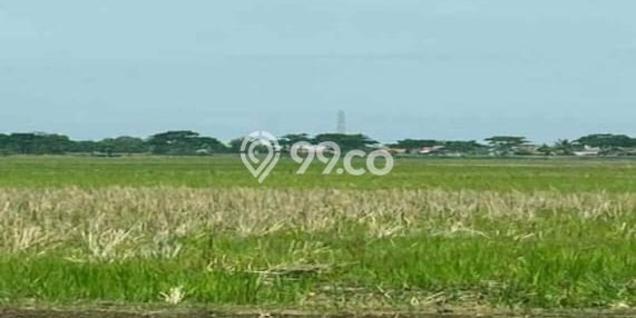 Tanah Kavling untuk Dijual di Subang Kuningan 25000m2 Tanah Kavling untuk Dijual di Subang Kuningan 25000m2