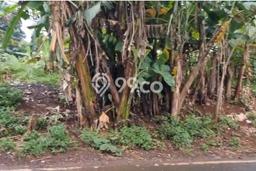 Tanah Kavling di BSD Dijual dengan Luas 2000m2 Tanah Kavling di BSD Dijual dengan Luas 2000m2