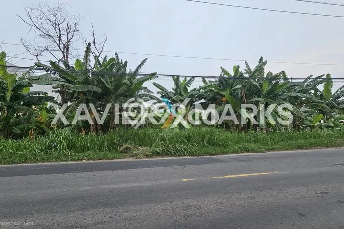 Tanah Kavling Dijual di Gresik Kota, Gresik dengan Luas Tanah 1m2 Tanah Kavling Dijual di Gresik Kota, Gresik dengan Luas Tanah 1m2