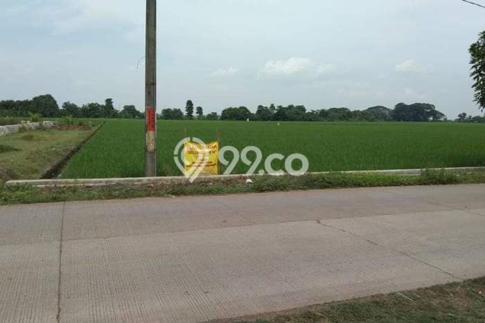 Tanah Kavling Dijual di Subang dengan Spesifikasi 3818m2 Tanah Kavling Dijual di Subang dengan Spesifikasi 3818m2