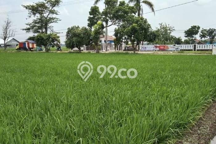 Tanah Kavling Dijual di Subang dengan Spesifikasi 3818m2 Tanah Kavling Dijual di Subang dengan Spesifikasi 3818m2