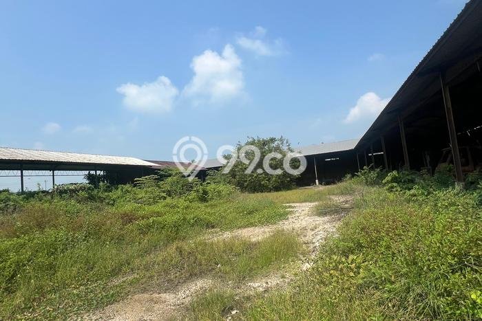 Gudang Dijual di Kawasan Wonosalam, Demak Harga Kompetitif Gudang Dijual di Kawasan Wonosalam, Demak Harga Kompetitif