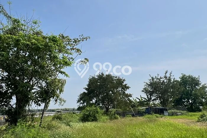 Kavling Tanah Dijual di Semarang Barat Semarang Spesifikasi 1e+06m2 Kavling Tanah Dijual di Semarang Barat Semarang Spesifikasi 1e+06m2
