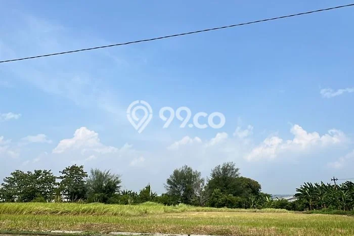 Kavling Tanah Dijual di Semarang Barat Semarang Spesifikasi 1e+06m2 Kavling Tanah Dijual di Semarang Barat Semarang Spesifikasi 1e+06m2