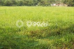 Lahan untuk Dijual Lokasi Penjaringan, Jakarta Utara Luas 250m2 PPJB Lahan untuk Dijual Lokasi Penjaringan, Jakarta Utara Luas 250m2 PPJB