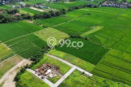 Tanah Dijual di Badung Seluas 390m2 Strategis Tanah Dijual di Badung Seluas 390m2 Strategis