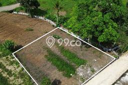 Tanah Kavling Dijual di Tabanan dengan Spesifikasi 390m2 Tanah Kavling Dijual di Tabanan dengan Spesifikasi 390m2