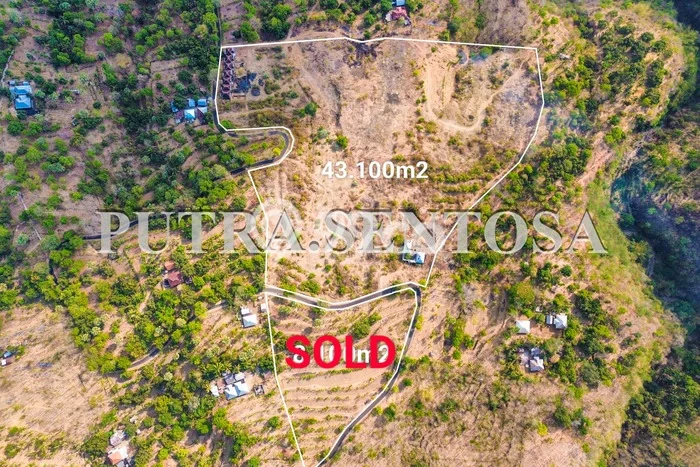 Tanah Dijual Lokasi Tejakula, Buleleng Luas 43100m2 Legalitas Aman Tanah Dijual Lokasi Tejakula, Buleleng Luas 43100m2 Legalitas Aman