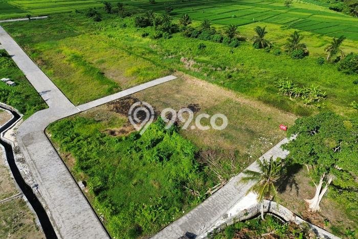 Tanah Kavling Dijual di Kedungu, Tabanan dengan Luas Tanah 250m2 Tanah Kavling Dijual di Kedungu, Tabanan dengan Luas Tanah 250m2