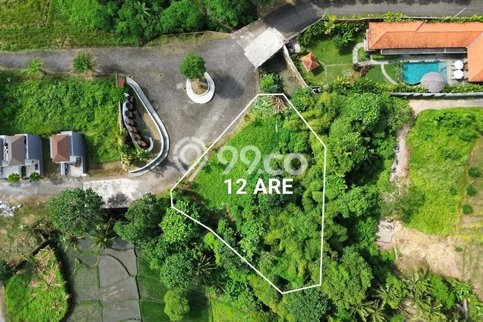 Land Rental Tanah di , Luas 1200m2m², Lokasi Potensial Land Rental Tanah di , Luas 1200m2m², Lokasi Potensial