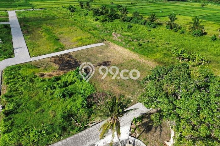 Tanah Kavling Dijual di Kedungu, Tabanan dengan Luas Tanah 250m2 Tanah Kavling Dijual di Kedungu, Tabanan dengan Luas Tanah 250m2
