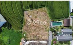 Tanah Dijual Area Strategis di canggu Badung 1190m2 Tanah Dijual Area Strategis di canggu Badung 1190m2