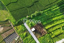 Dijual Tanah Lokasi Pererenan, Badung Seluas 433m2 Dijual Tanah Lokasi Pererenan, Badung Seluas 433m2